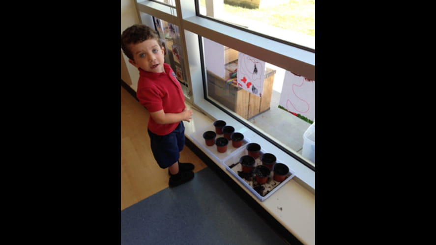 Baby Plants are Growing-baby-plants-are-growing-EYPicture9