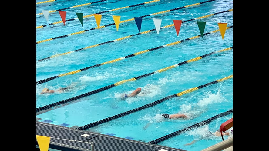 Screen Shot 20210210 at 115009 AM