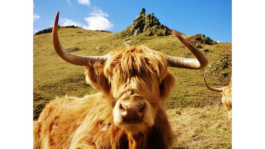 James_12_Houston_Third