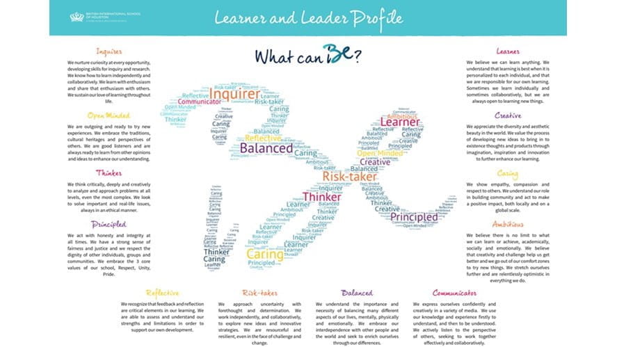 Learner Profile draft 5