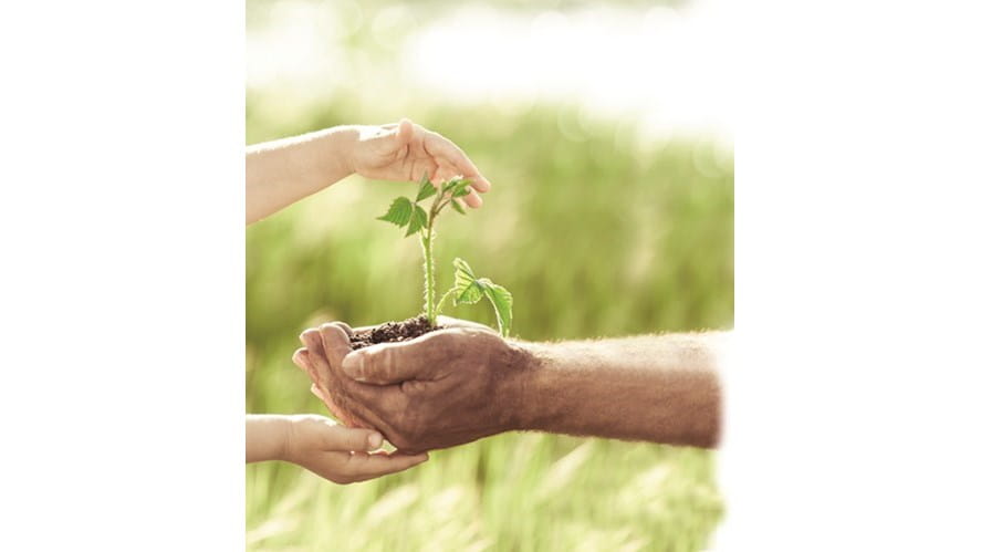 shutterstock_128554466