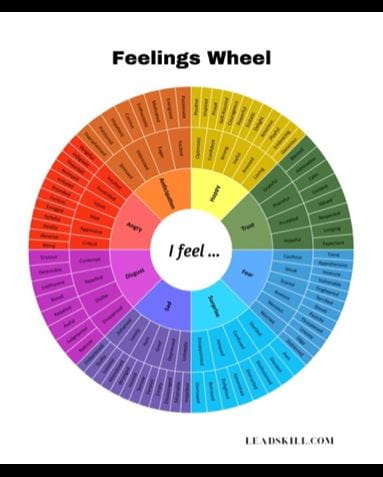 Feelings Wheel