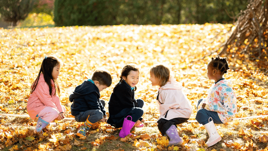 Kids sitting on branch