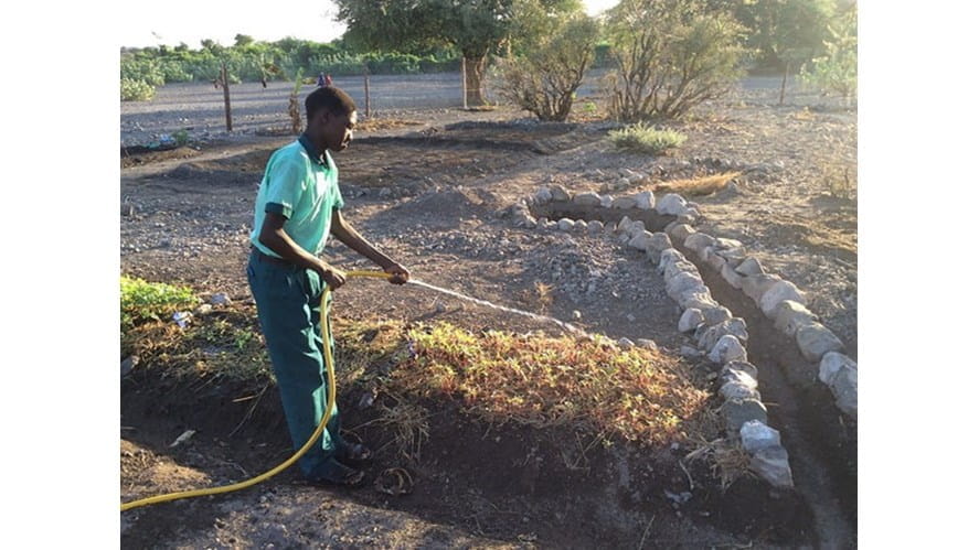 16646895397_ba5d0a612a_z