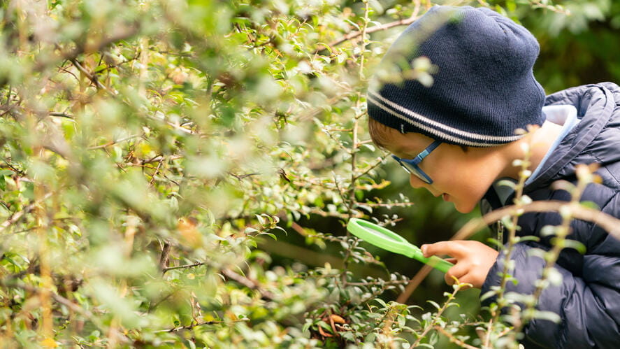 Forest School | British International School Bratislava  - Forest School