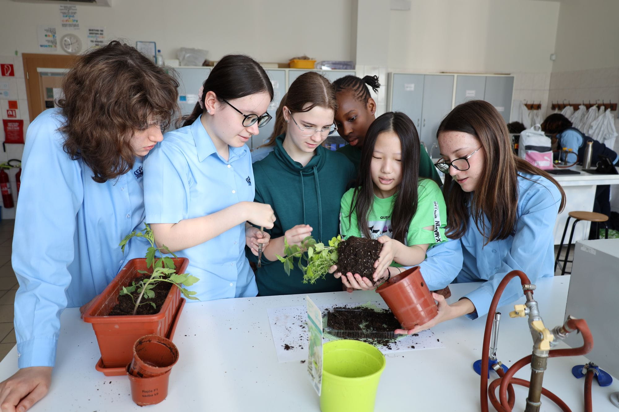 GREAT GREEN ECO DAY - Carousel For News Detail