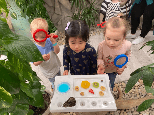 The Power of Play_Unlocking Potential in Early Education - The Power of Play_Unlocking Potential in Early Education