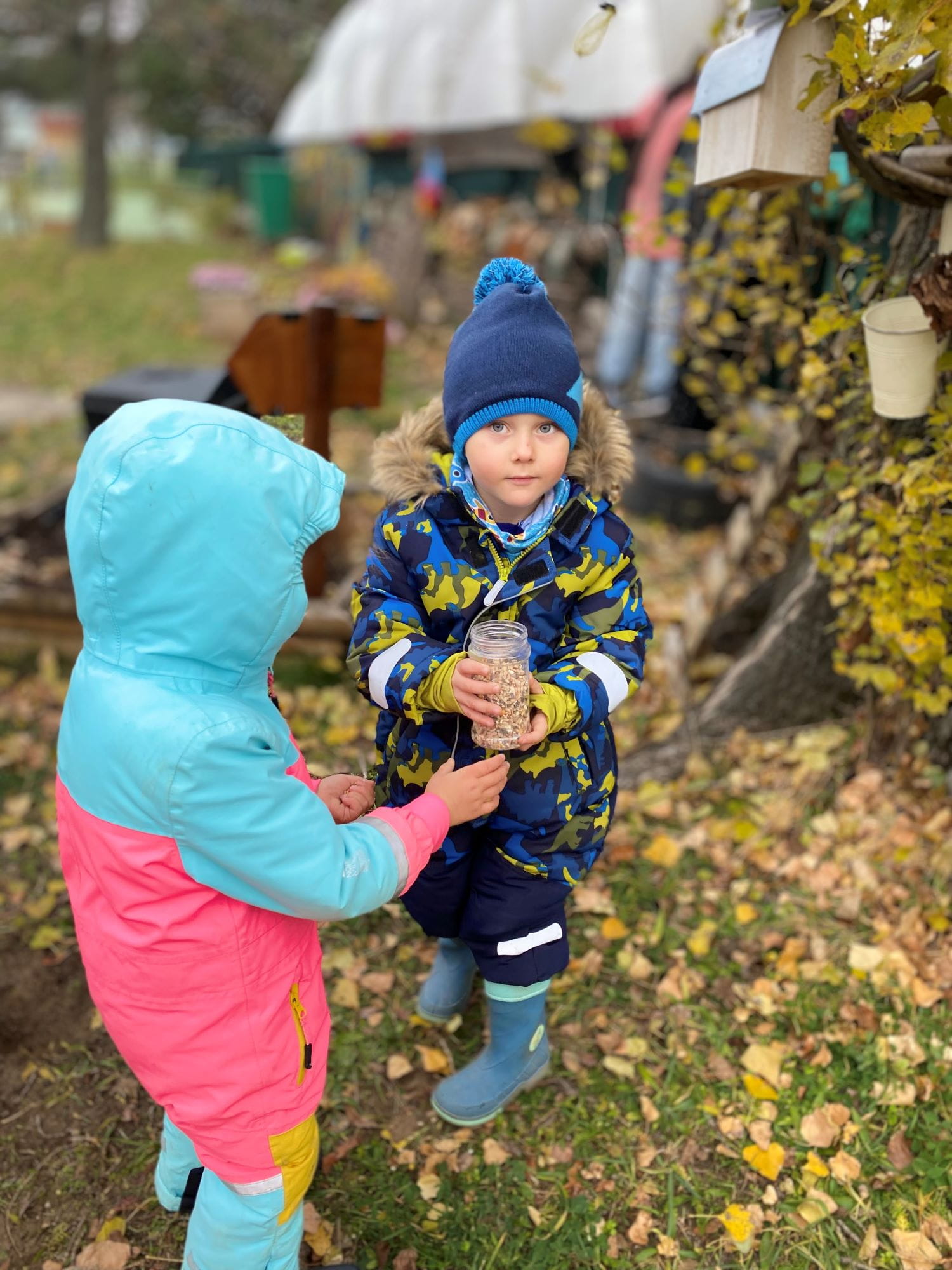 An Accredited Eco-School | BIS Bratislava - Feature Cards Pattern