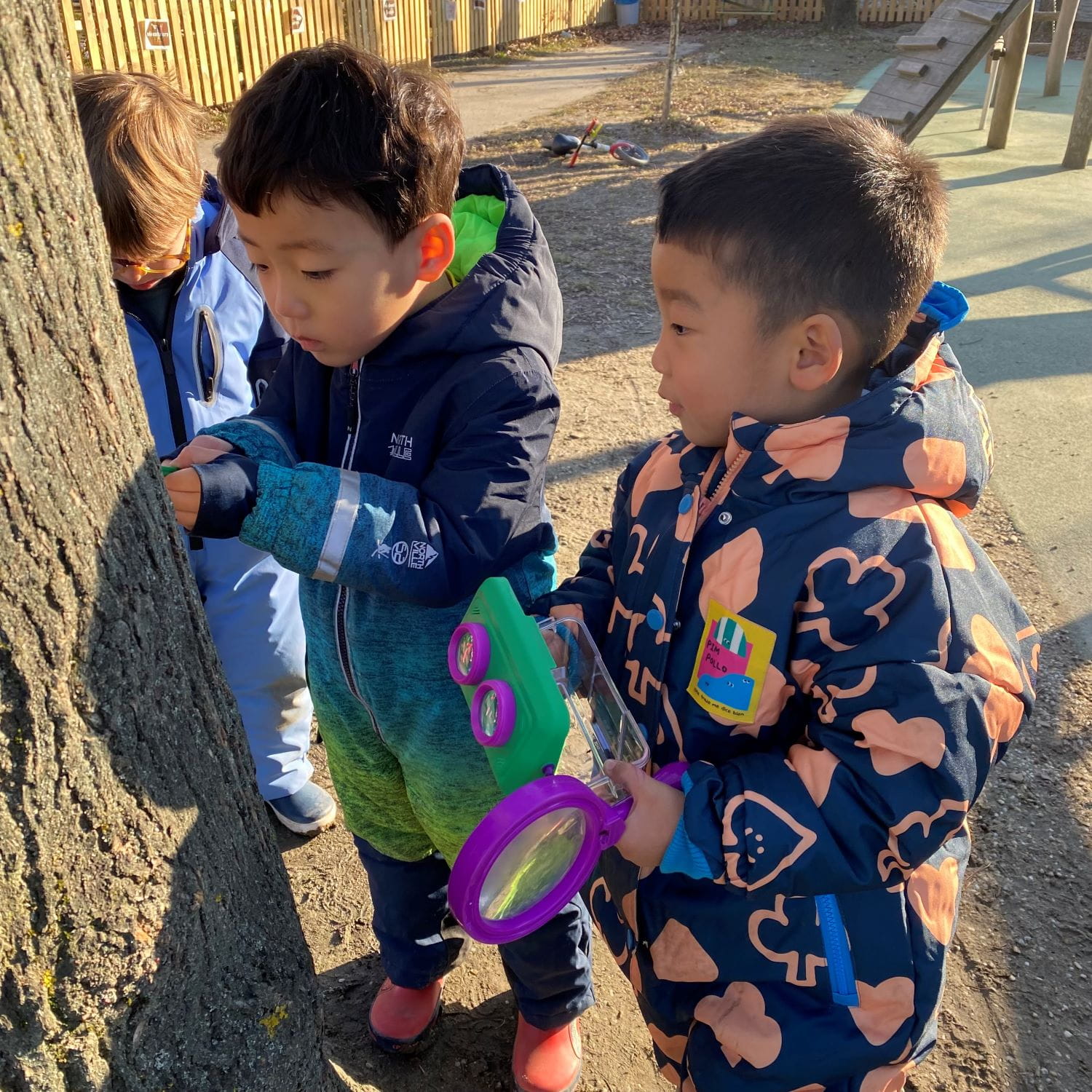 An Accredited Eco-School | BIS Bratislava - Feature Cards Pattern