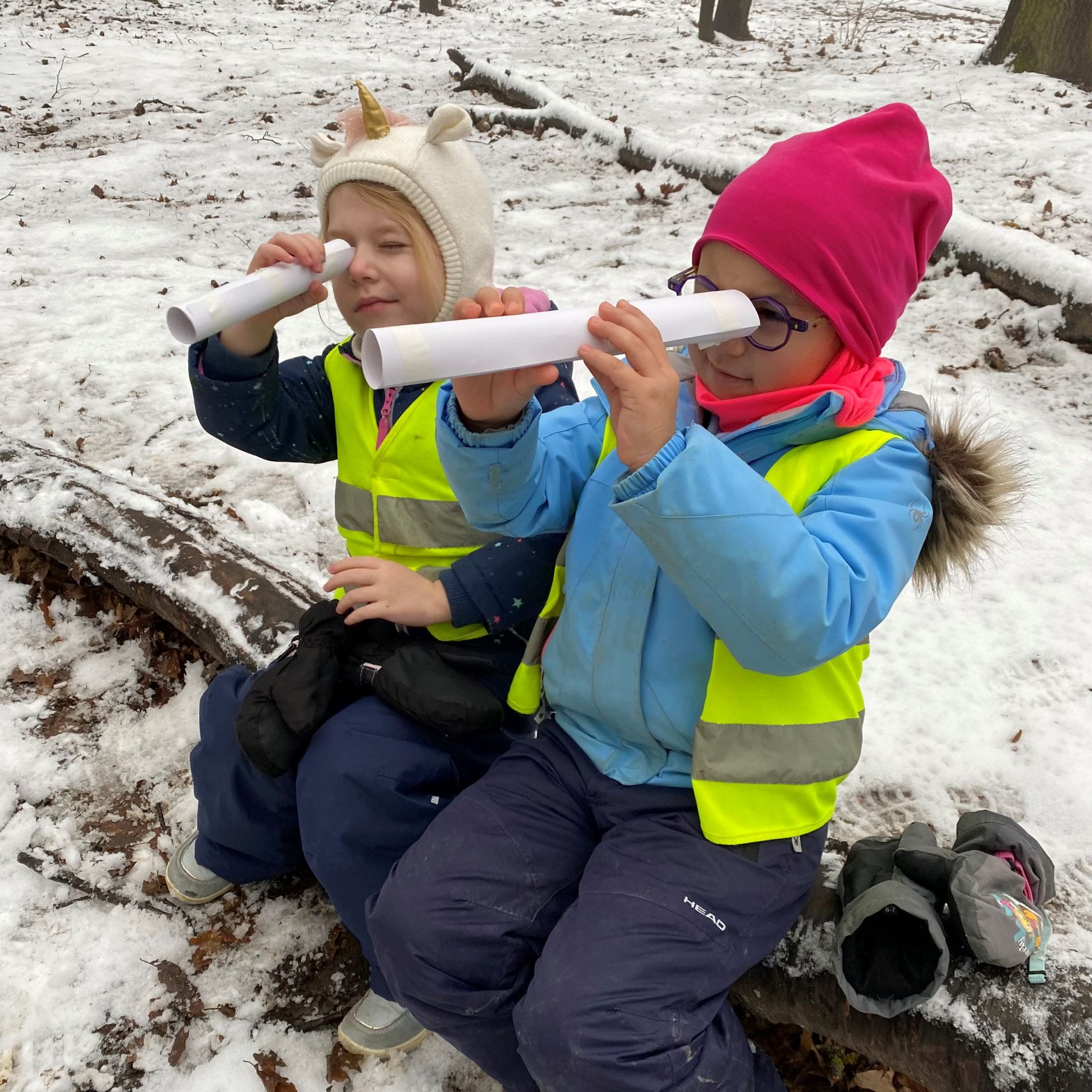 An Accredited Eco-School | BIS Bratislava - Feature Cards Pattern