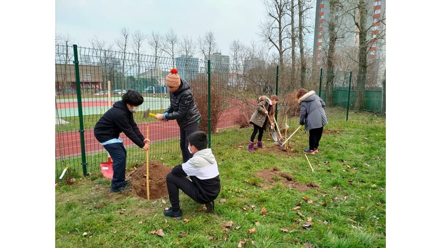 Fruit Trees Planting in the School Garden - fruit-trees-planting-in-the-school-garden