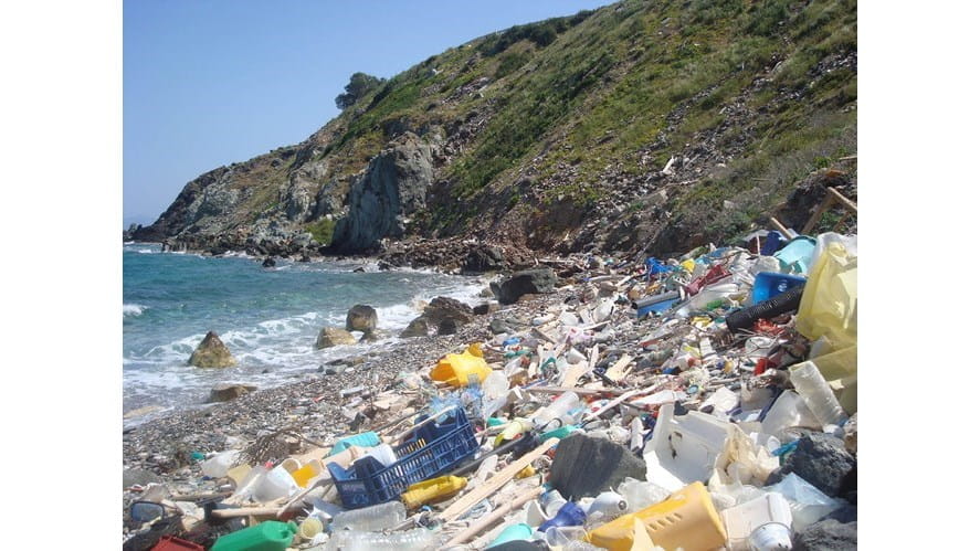School without plastic bags - school-without-plastic-bags