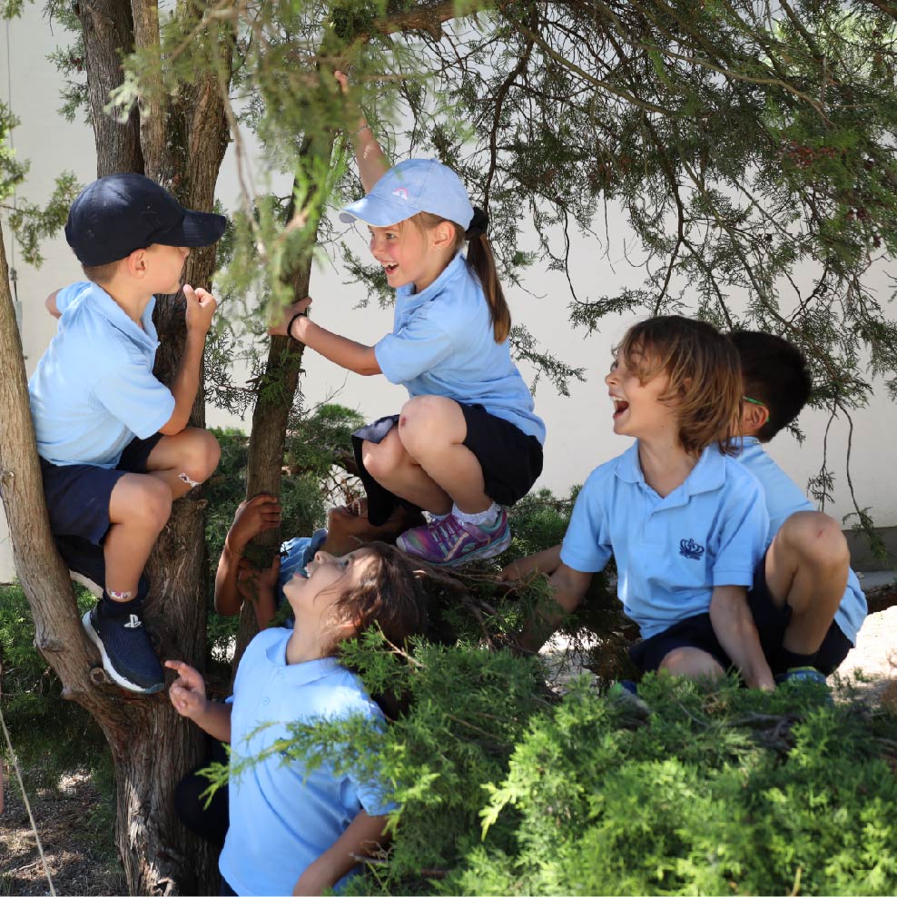 Students climbing the tree