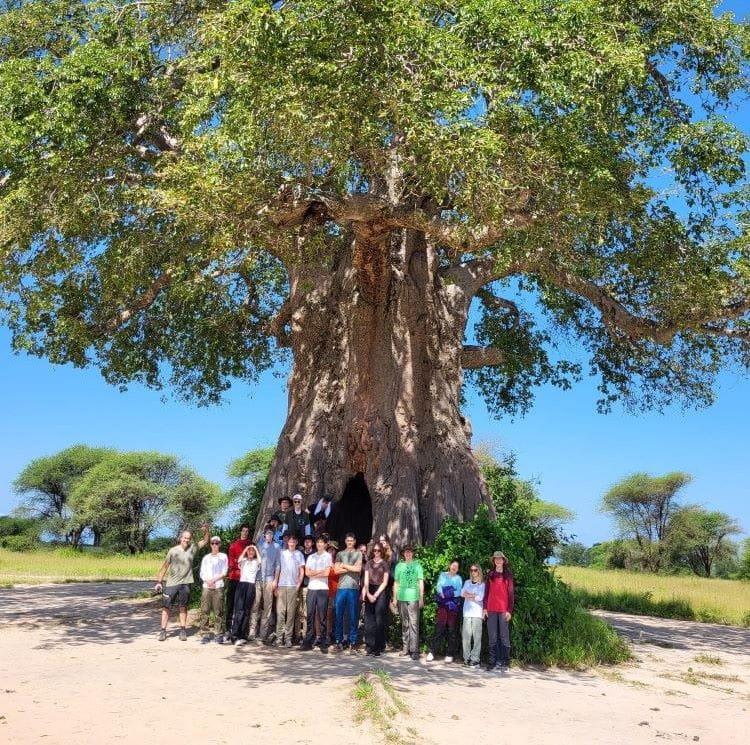 Our Social Purpose | British International School Bratislava - Image-50-50 3