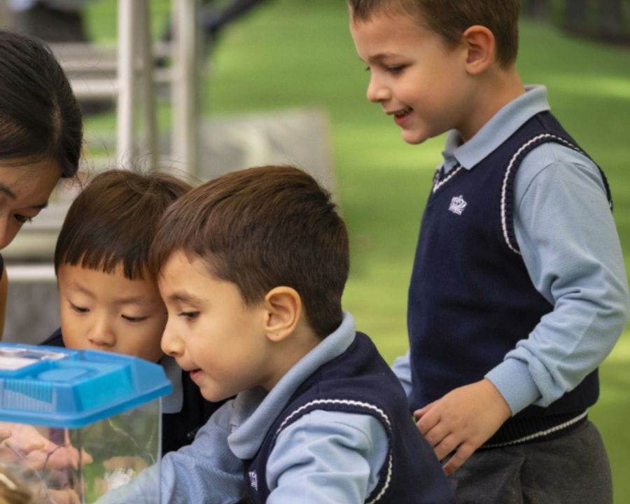 International Kindergarten Budapest | BISB - 02 - Image-50-50