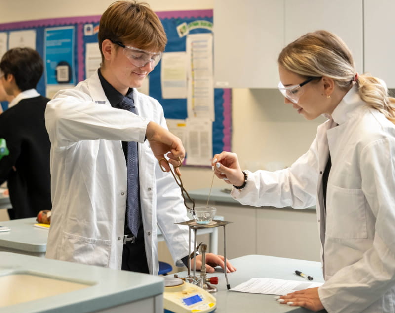 Student Wellbeing at The British International School Budapest - Student Wellbeing at The British International School Budapest