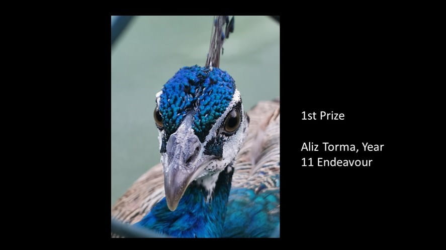 Slide12