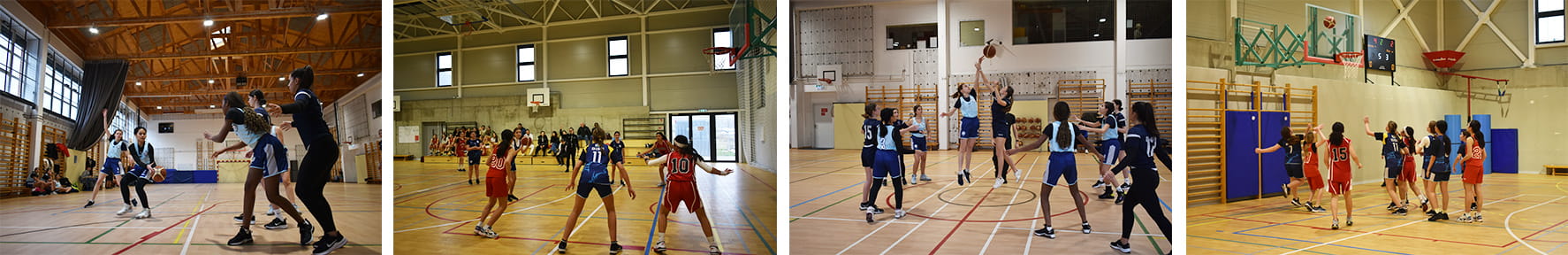 Basketball