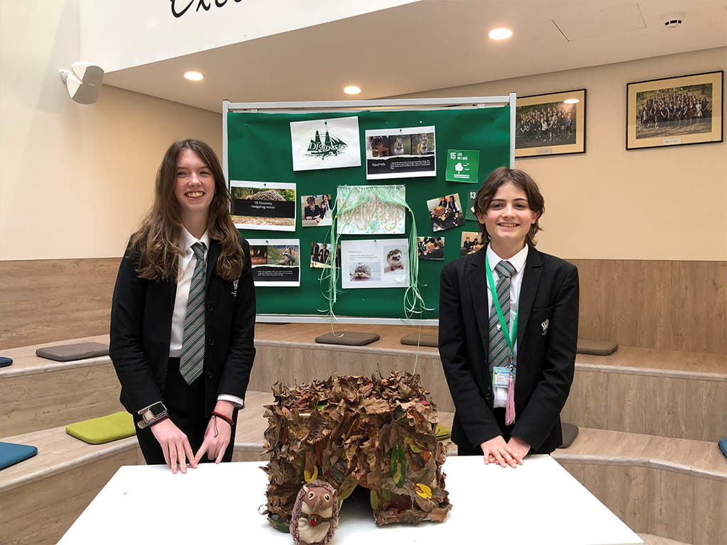 Hedgehog hotel