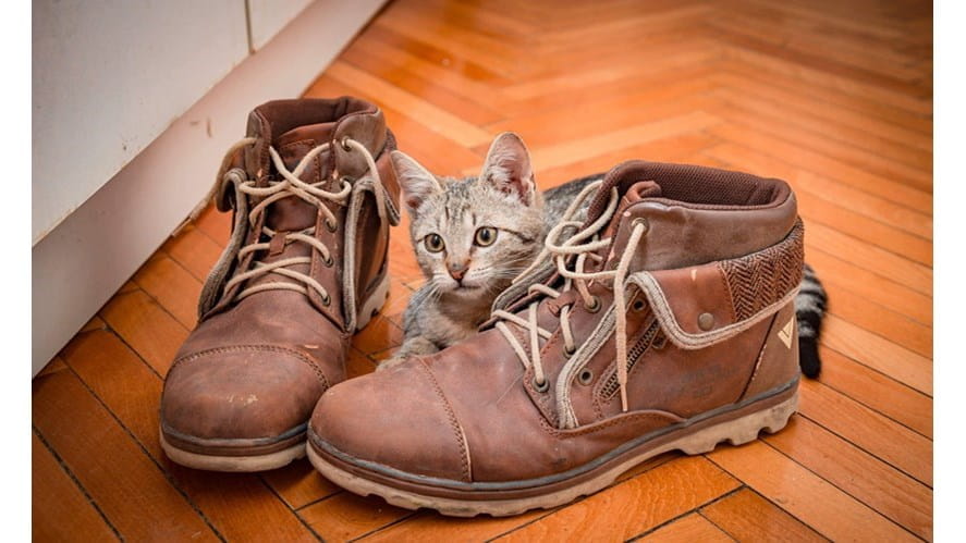 received_1755210334626346