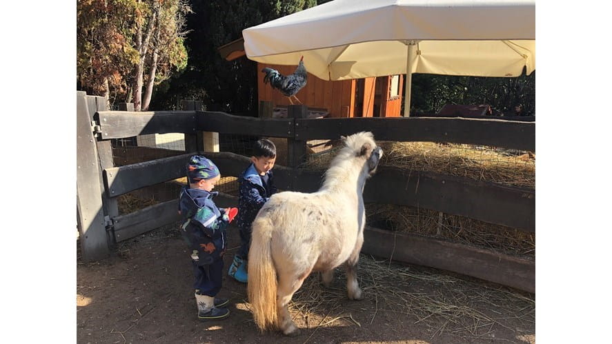 Ponyfarm1