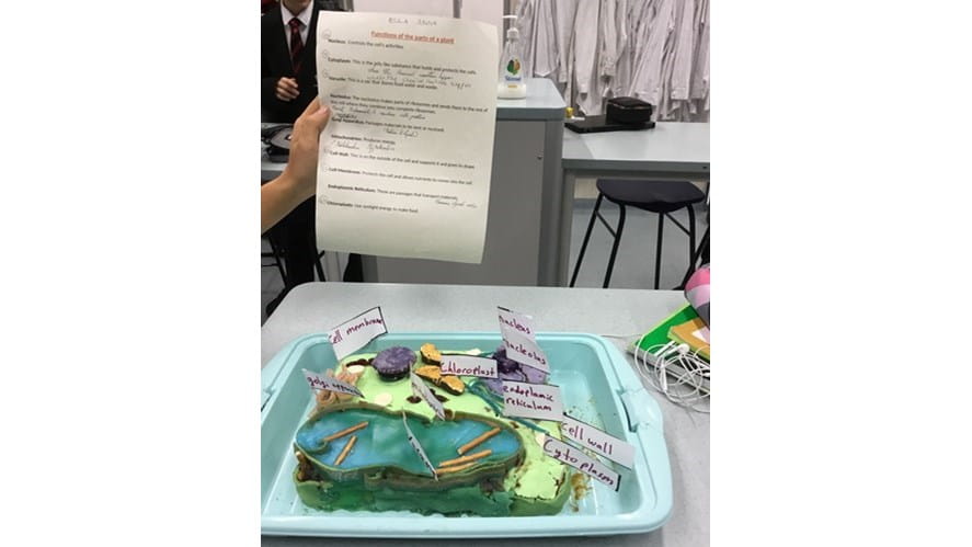 Animal and Plant Cell Science Project | BISB-year-7-science-project--3d-models-of-animal-and-plant-cells-IMG_0244