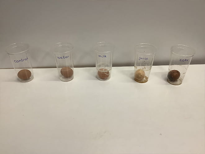 Year 2 Egg Experiment - Carousel For News Detail