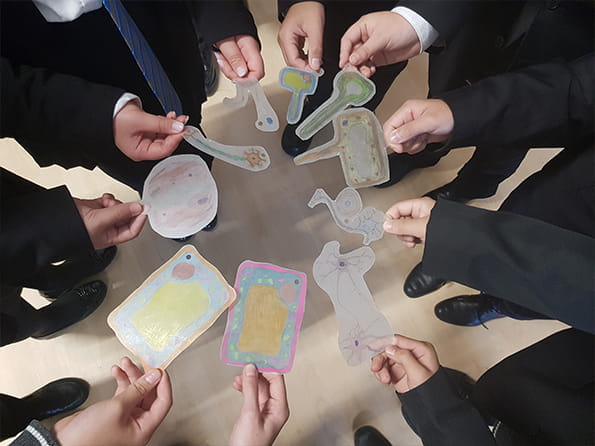 Year 7 Learning about Cells and Organs - Carousel For News Detail