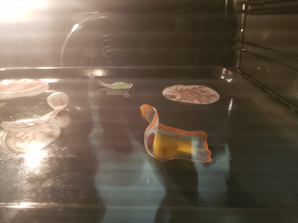 Year 7 Learning about Cells and Organs - Carousel For News Detail