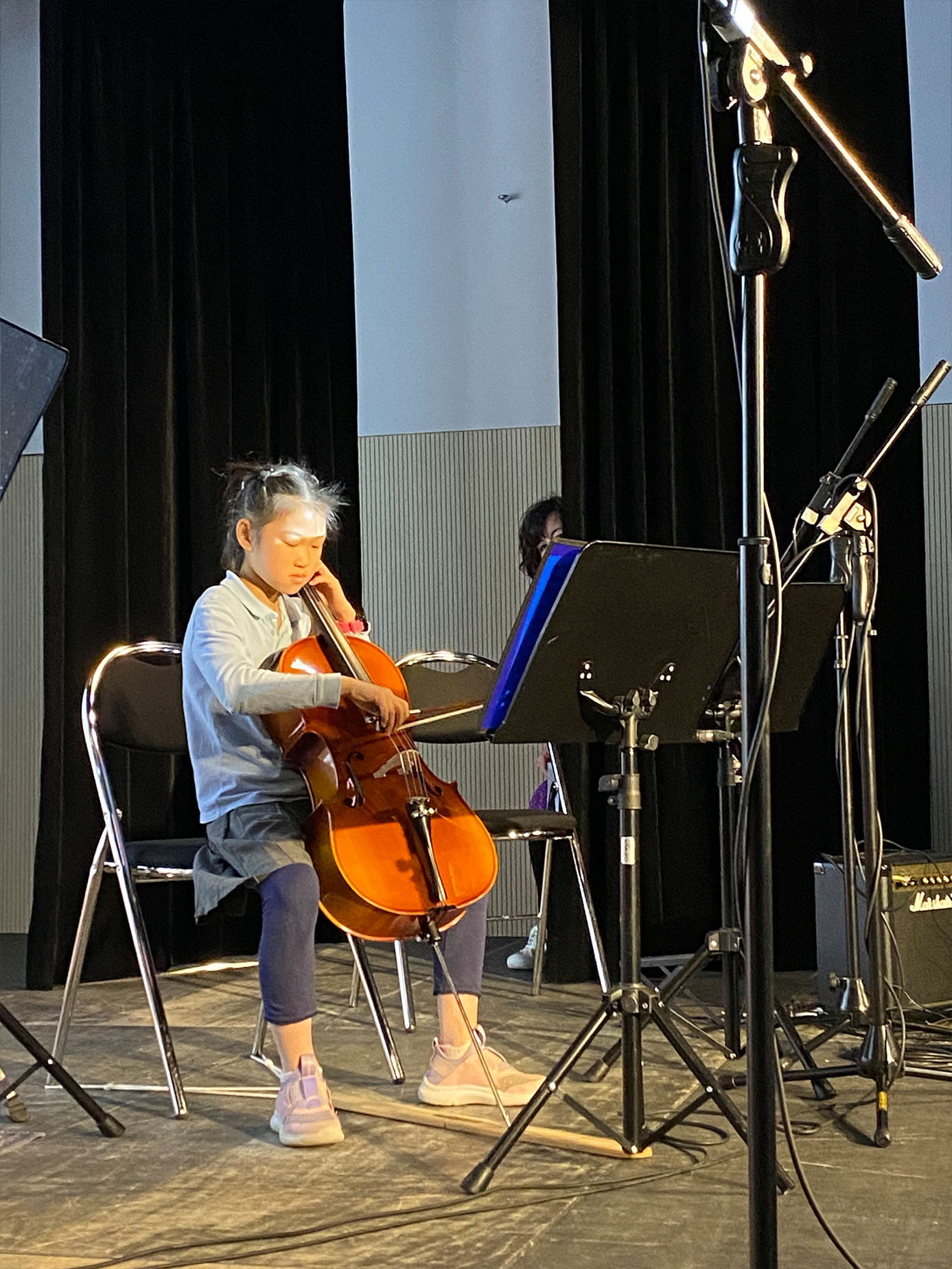 Instrumental concerts