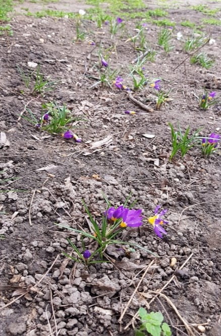 Senior Changemakers Updates - Carousel For News Detail