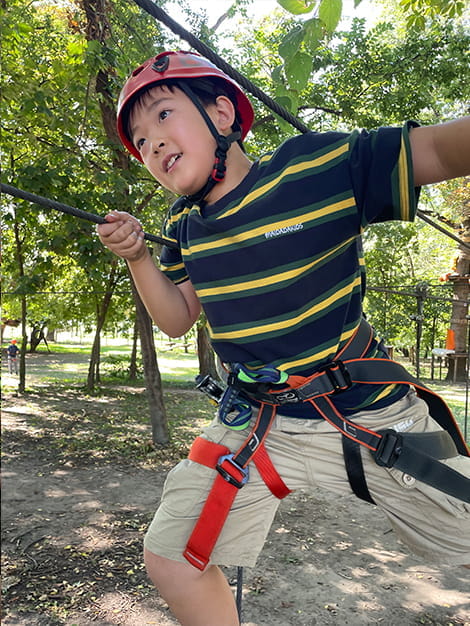 School Trip to Kalandpark Tree Top Walking Adventure Park - Carousel For News Detail