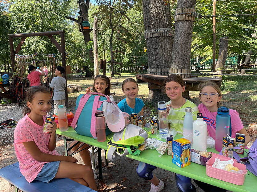 School Trip to Kalandpark Tree Top Walking Adventure Park - Carousel For News Detail