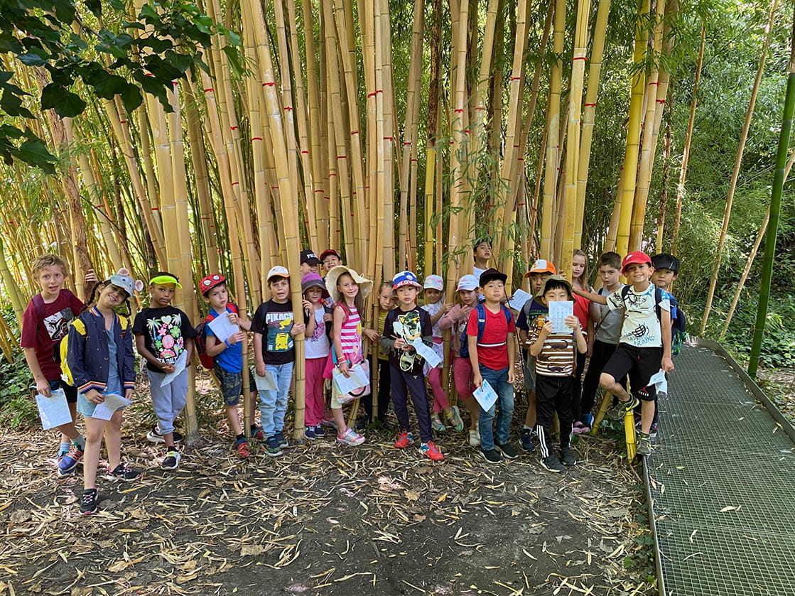 Year 2 Trip to the Botanical Garden - Carousel For News Detail