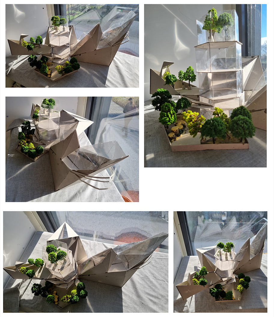 IB Visual Arts Exhibition