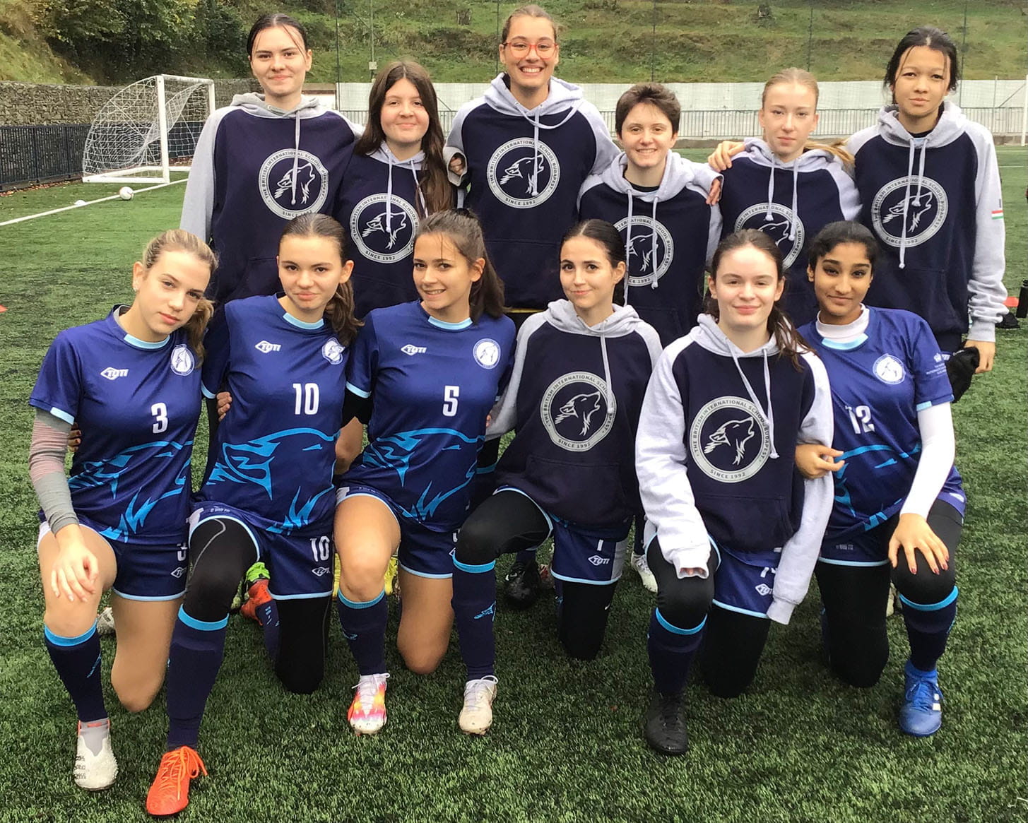 DVAC Festival - Carousel For News Detail