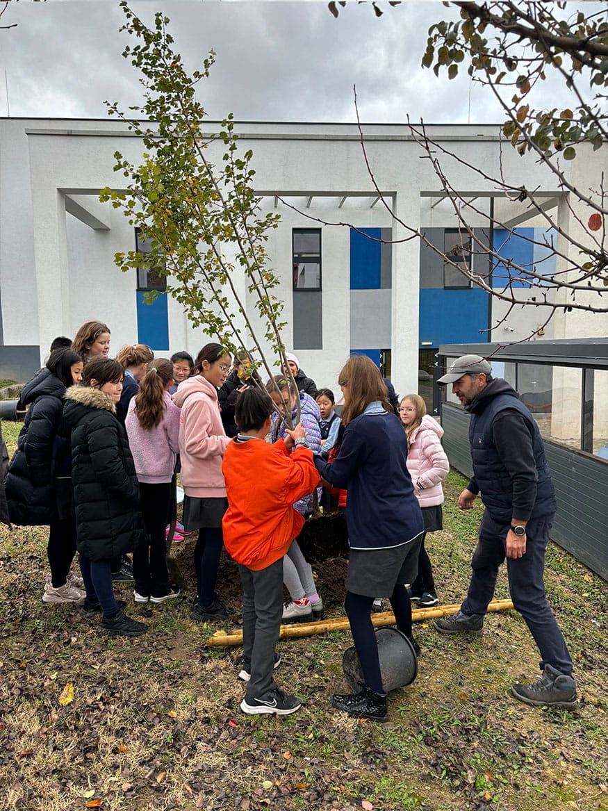 Trees Planted by Change Makers - Carousel For News Detail