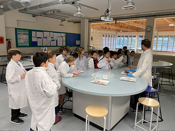 Getting To The Heart Of The Matter | BISB - The Heart of the Matter