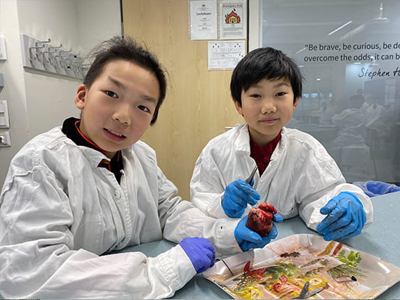 Getting To The Heart Of The Matter | BISB - Carousel For News Detail