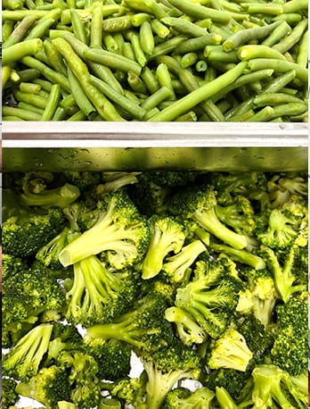 Veggies Life at the British International School - Veggies Life at the British International School