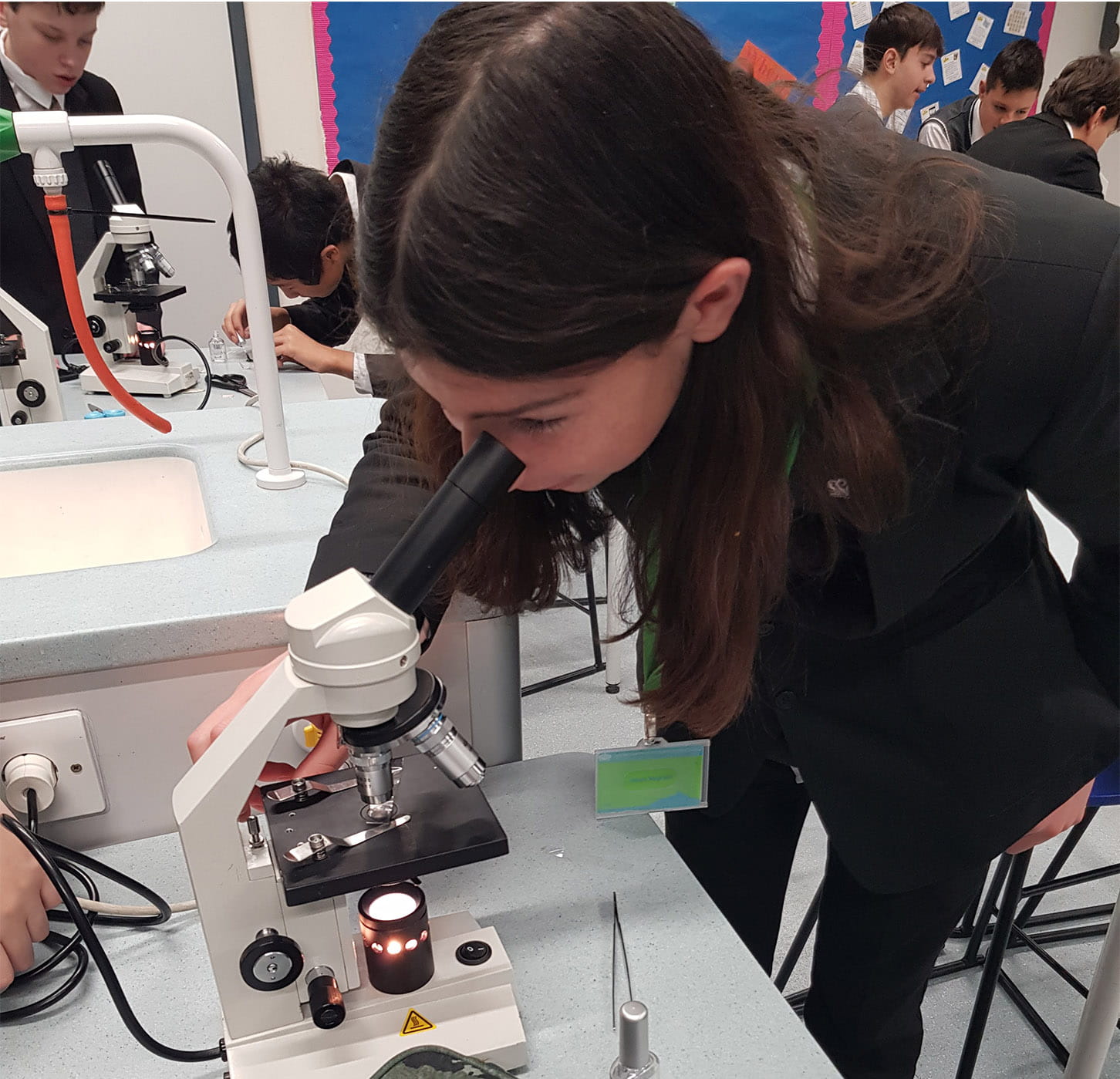 Year 9 Learning About Plants - Carousel For News Detail