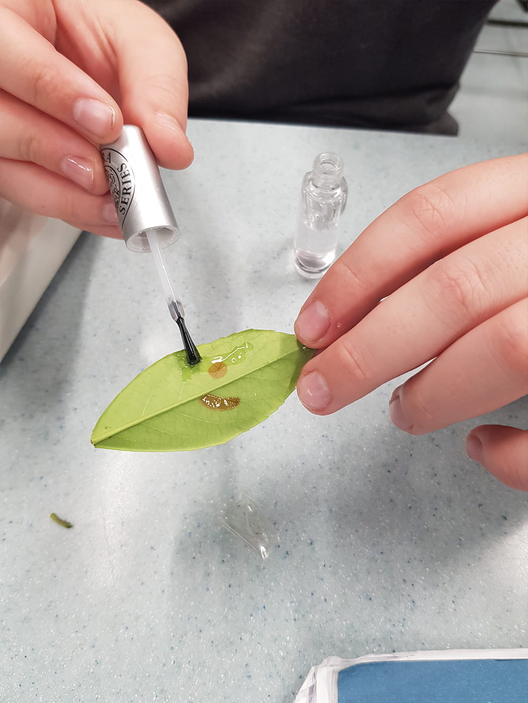 Year 9 Learning About Plants - Carousel For News Detail