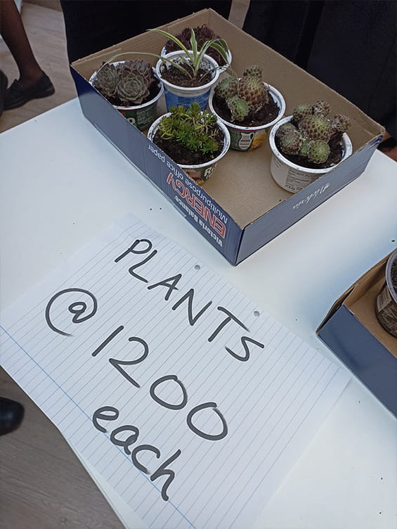 Year 8 Service Learning Action Week - Carousel For News Detail