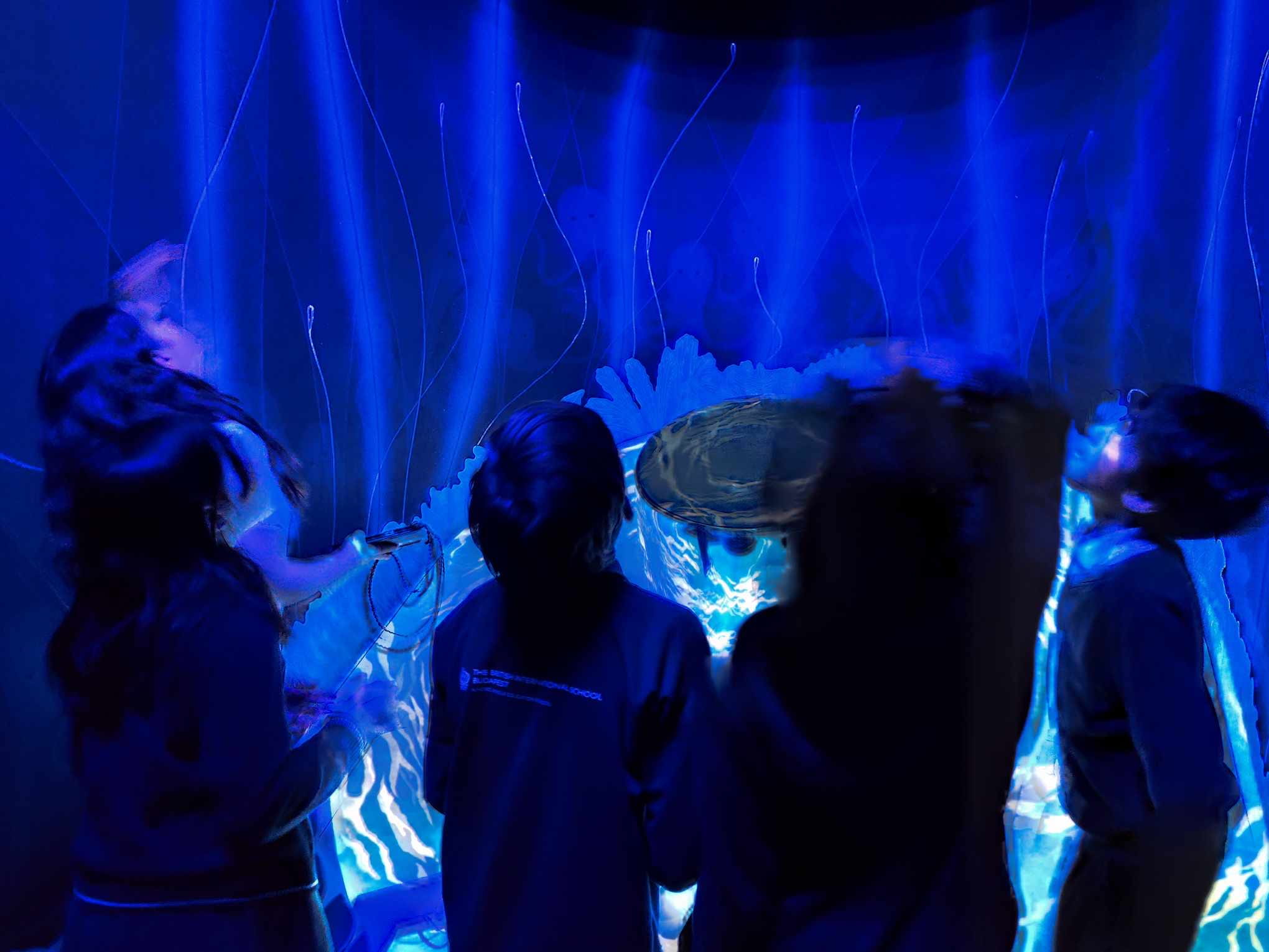 Year 6 Hungarian Trip to Kiskoros - Carousel For News Detail