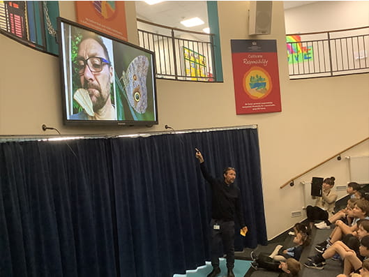 Year 2 Learning about Butterflies - Carousel For News Detail