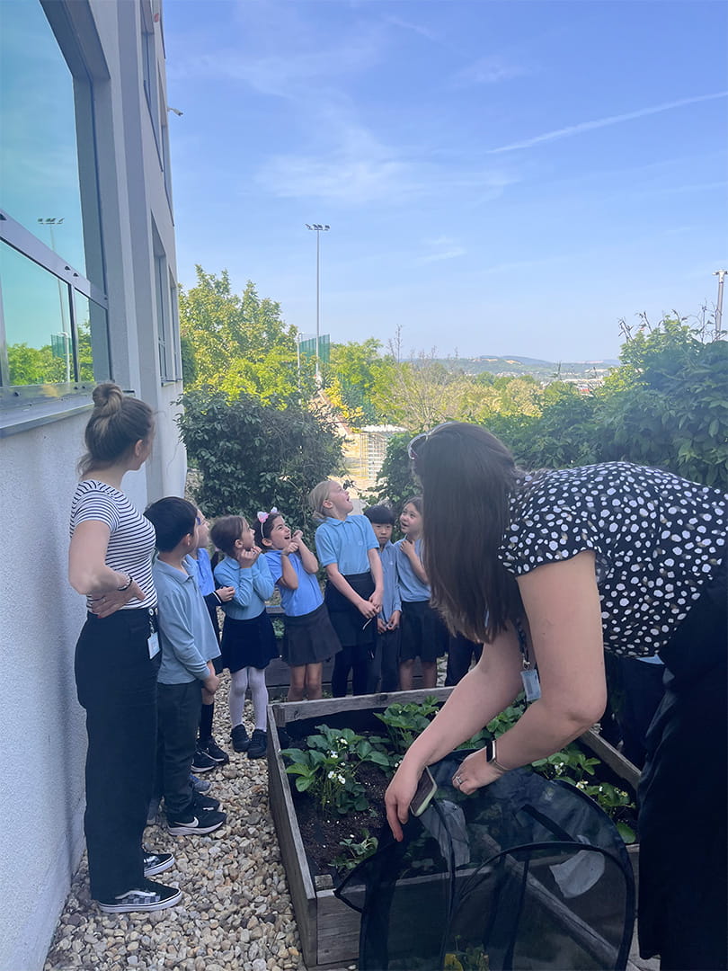 The Life Cycle of Butterflies - Carousel For News Detail