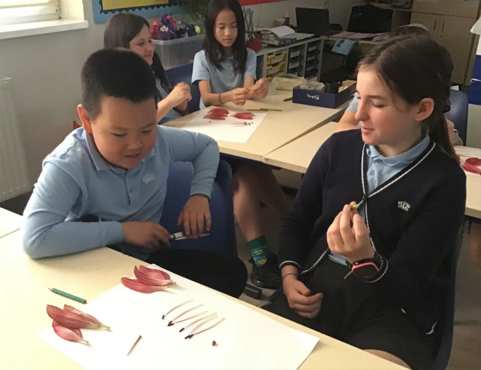 Primary Science Week - Carousel For News Detail