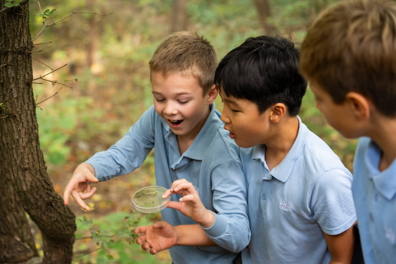 Why choose the British International School Budapest? - Why choose BISB