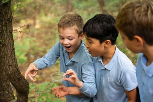 Why choose the British International School Budapest? - Why choose BISB