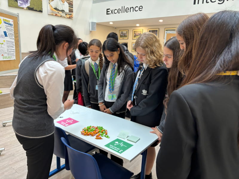 SDG Week: Younger Students Take the Lead - Carousel For News Detail